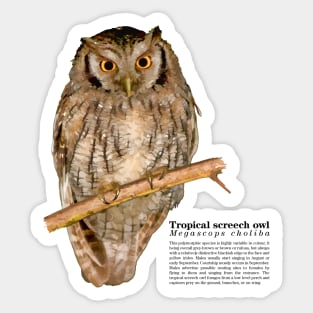 Tropical screech owl black text Sticker